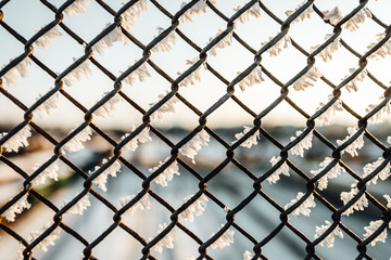 Fototapeta premium Chain link fence with barbed wire, background texture. 