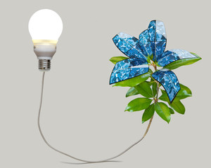 Perpetual energy: a light bulb illuminates a solar panel plant.