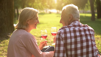 Joyful elderly couple drinking wine and celebrating anniversary in park, date