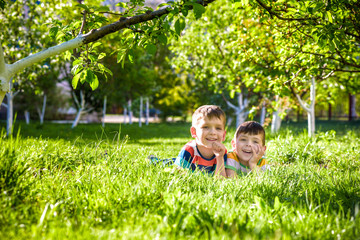 Happy children having fun outdoors. Kids playing in summer park. Little boy and his brother laying on green fresh grass holiday camp.