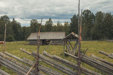 Sommerweiden Koli Nationalpark