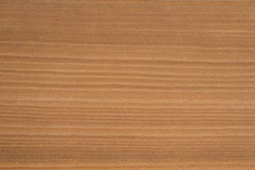 Close up natural wood grain texture / background