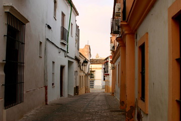 Fototapeta na wymiar Jerez de la Frontera. City of Andalusia. Spain