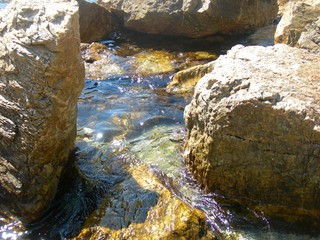 Magaud Sud de la France