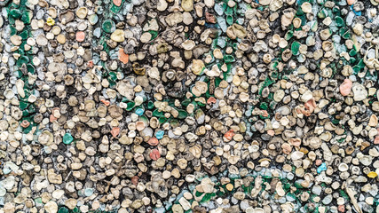 wall of seashells as background texture