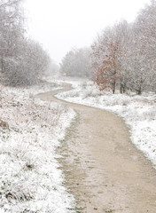 Road through English rural countryside covered in snow.