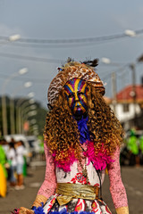 Grâce et beauté au défilé du carnaval de Cayenne en Guyane française