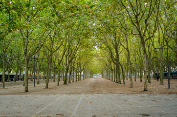 Park of the city of Bordeaux. France