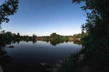 Evening summer landscape on the pond