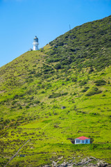 Image of Bay of Islands in Paihia, cruising to the Hole in the Rock and with dolphins printed on Printed Glass Splashbacks