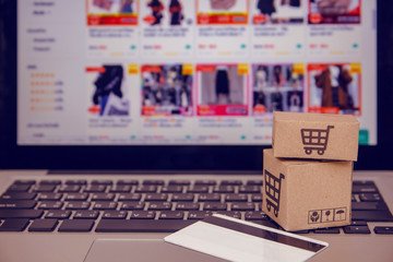 Shopping online concept - Shopping service on The online web. with payment by credit card and...