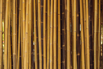 Bamboo village, Traditional houses constructed by Bamboo with Thatch roof in the heart of Bali island. Very unique and green concept