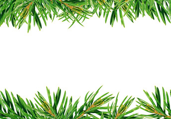 Background of green branches