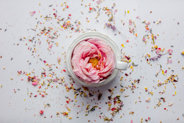 Cup of tea with rose bud and lavender leaves, petals