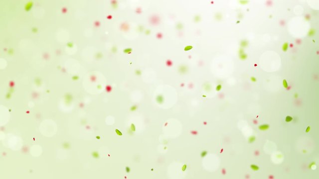 spring background, 4K slow motion spring background with green leaves bokeh and petal