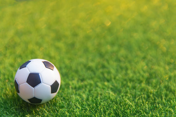 Obraz premium Soccer ball on grass green field with copy space