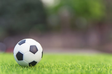 Fototapeta na wymiar Soccer ball on grass green field with copy space