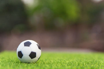 Obraz premium Soccer ball on grass green field with copy space