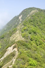 新緑の山肌 蛭ヶ岳