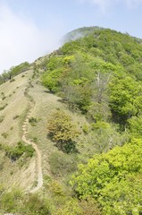 Fototapeta na wymiar 蛭ヶ岳 丹沢主脈の登山道