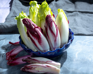 Group of fresh green Belgian endive or chicory and red Radicchio vegetables, also known as witlof...