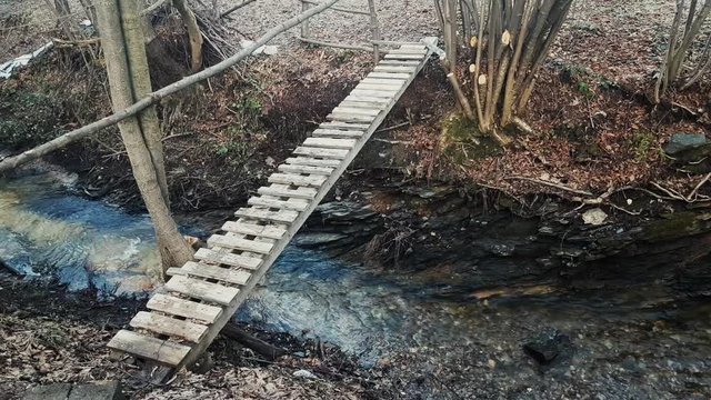 Wooden bridge over forest creek - (4K)