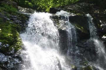 Obraz premium 早戸川上流 原小屋沢の雷滝