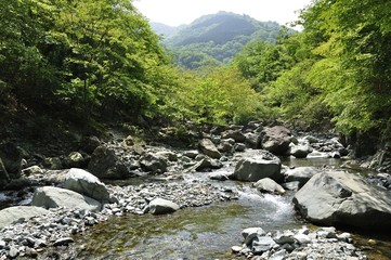 丹沢山地の奥地 早戸川上流