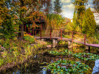 Fototapeta na wymiar Garden with pond and wooden bridge
