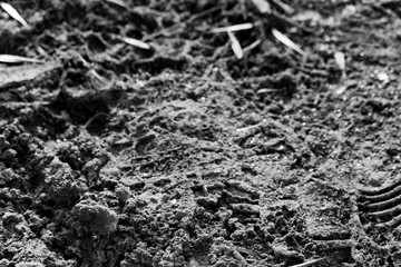 Monochrome background with dirt and prints