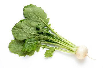 Fresh white round turnip radish on white background.