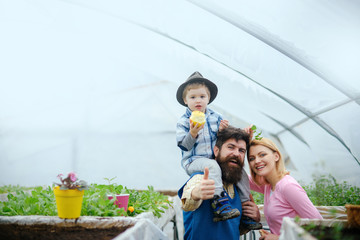 vitamin. child eat apple with vitamin. vitamin and health concept. vitamin and dieting for happy family. new growth.