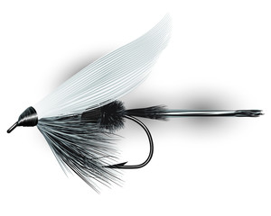 Royal Coachman Tied Dry Fly