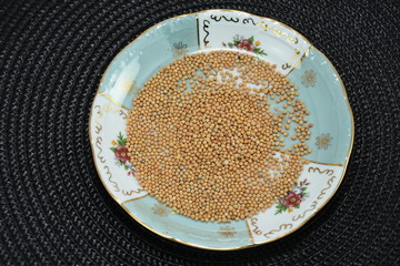Mustard Seeds isolated(selective focus; close-up shot)