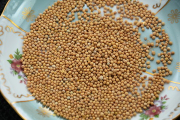 Mustard Seeds isolated(selective focus; close-up shot)