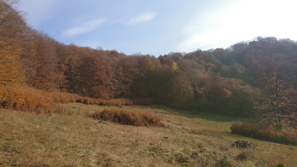 Autumn, trees, mountains