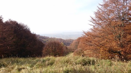 Obraz premium Autumn, trees, mountains