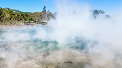 Fototapeta na wymiar Rotorua Thermal Park and Wai-O-Tapu on the North Island of New-Zealand