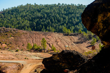plants on the red rocks of Rio Tinto