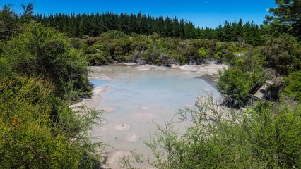 Fototapeta na wymiar Rotorua Thermal Park and Wai-O-Tapu on the North Island of New-Zealand