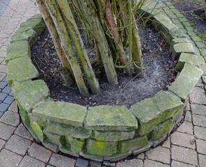 flowerbed in the form of a fake stone water well with small trees growing from it
