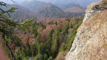 Autumn, trees, mountains
