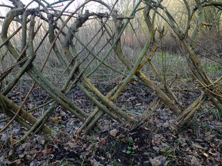 Brunch fence in the park that forms hearts shapes