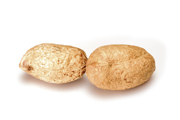 Peanuts. Two real little whole nuts isolated on white background. Peanut macro close up. Full depth of field.