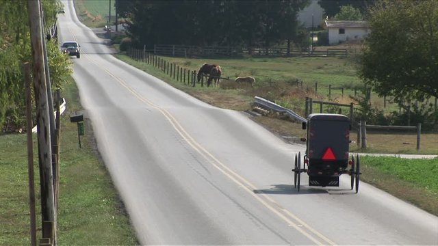 Amish horse and buggy next to farm in Lancaster, Pennsylvania