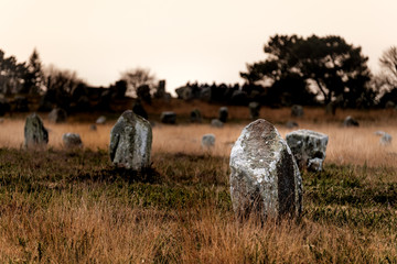 Alignment of Menhir and Megalith in Carnac in the historic heart of Brittany