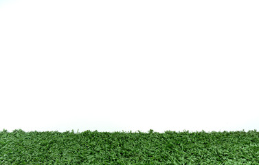 Green artificial grass isolated on white background, Copy Space, Panorama view display product..