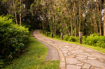 Fototapeta premium Winding stone road through sunny green forest illuminated by sunbeams, with railway sleepers on the side of the path.