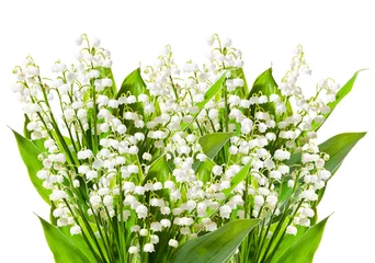 Foto op Canvas Lily of the valley isolated on white background © IreneuszB