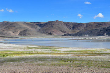 The highly saline lake Drangyer Tsaka in Tibet in sunny day, China